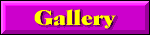 Gallery Button